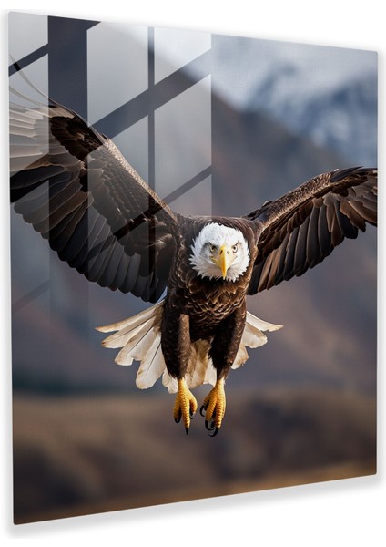 Yaban Hayatı Cam Baskı - Görkemli Kel Kartal - Yaban Hayatı, Güç, Ev Dekorasyonu, Fotoğraf, 30X30