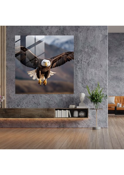 Yaban Hayatı Cam Baskı - Görkemli Kel Kartal - Yaban Hayatı, Güç, Ev Dekorasyonu, Fotoğraf, 30X30 fiyatları