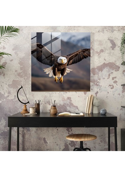 Yaban Hayatı Cam Baskı - Görkemli Kel Kartal - Yaban Hayatı, Güç, Ev Dekorasyonu, Fotoğraf, 30X30 modelleri
