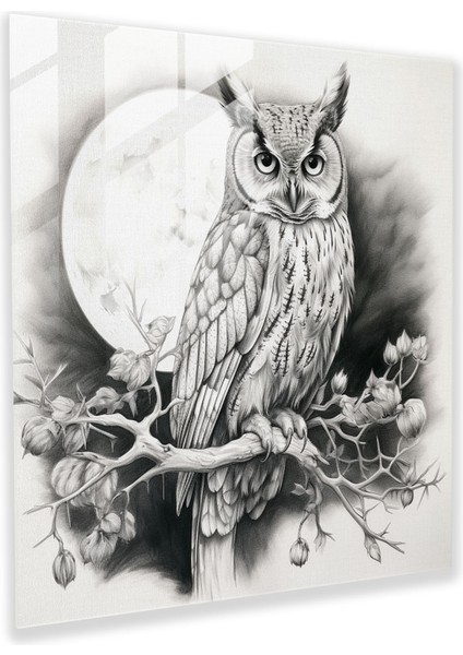 Yaban Hayatı Cam Baskı - Ay Işığında Tünemiş Bilge Baykuş - Yaban Hayatı, Cam Duvar Sanatı, Ev Dekorasyonu, Duvar Dekorasyonu, 30X30