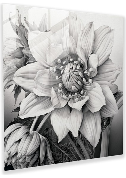 Karmaşık Kır Çiçeği Cam Baskı - Kır Çiçeği, Ev Dekorasyonu, Cam Baskı, Gerçekçi Grafit Çizim, 30X30