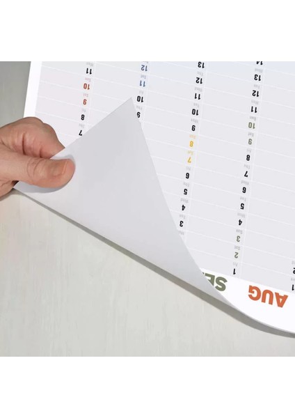 2025 Yıllık Planlayıcı Duvar Takvimi Rengarenk Aylar Boyut 70 x 100 cm