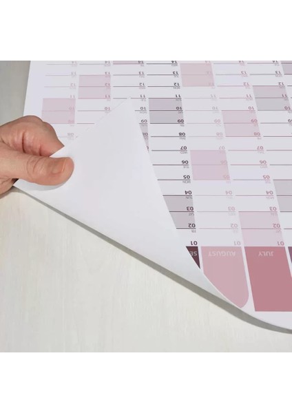 2025 Yıllık Planlayıcı Duvar Takvimi Kahverengi Mürdün Yavruağzı Wall Planner Boyut 70 x 100 cm