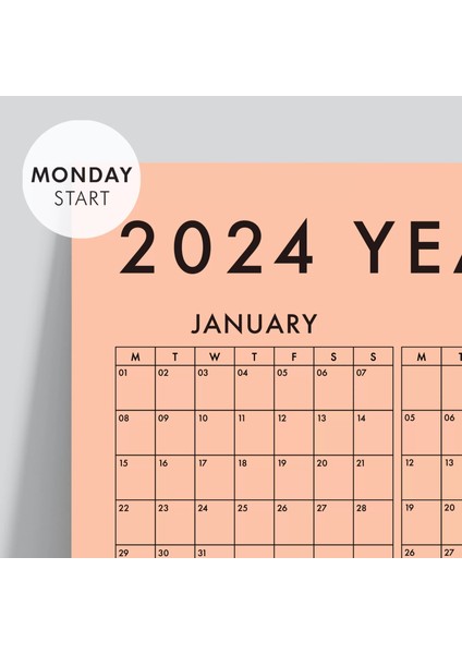 Somon Renk 2025 Yıllık Planlayıcı Duvar Takvimi 2025 Takvim Aylık Planlayıcı Boyut 35 x 50 cm