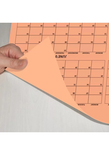 Yavruağzı 2025 Yıllık Planlama Takvim Yıllık Plan Aylık Planlama Duvar Takvimi Boyut 35 x 50 cm