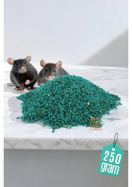 Fare Yemi 250 gr 720693 fiyatları