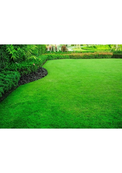 7 Karışım Garden Palace Çim Tohumu 3 kg