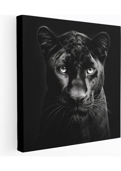 Kara Panter Kanvas Tablo - Kara Panter, Zarafet, Güzellik, Kanvas Tablo, 30X30