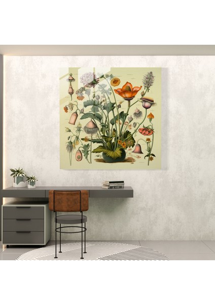 Tıp Botanik Cam Baskı - Tıp, Şifalı Bitkiler, Cam Baskı, Doğa Aşığı, 30X30 fiyatları