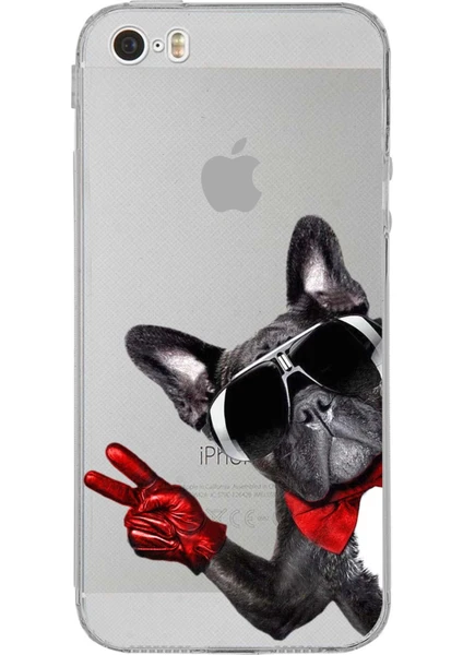 Printify Apple iPhone 5 ile Uyumlu Köpek 2 Kamera Korumalı Şeffaf Kılıf