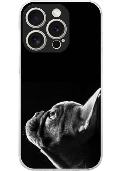 Apple iPhone 15 Pro ile Uyumlu Köpek 1 Kamera Korumalı Şeffaf Kılıf