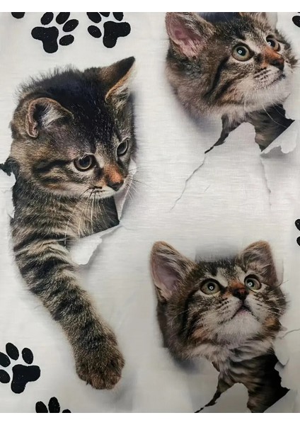 Canan Ataç  Kadın Kısa Kollu Kedi ve Pati Baskılı Süprem T-Shirt