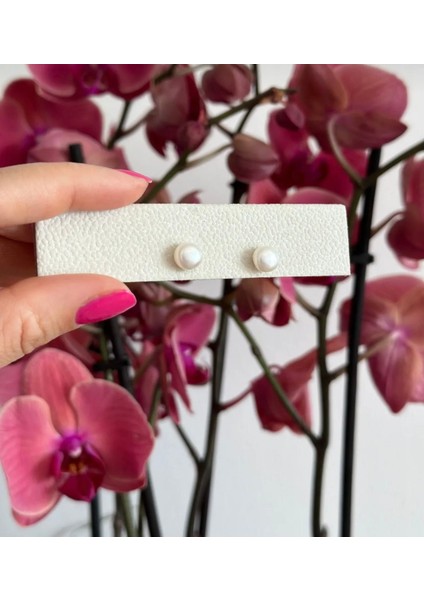 Okyanus Incisi Gümüş Top Küpe fiyatları