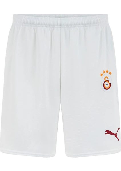 Galatasaray Gsk Home Shorts Wo S 24/25 Erkek Şort