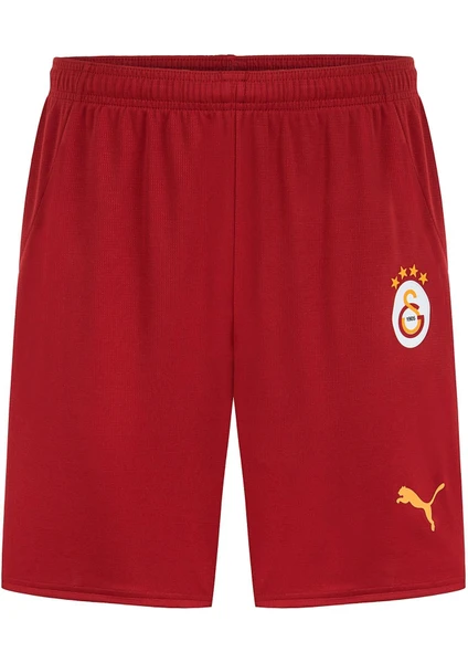 Galatasaray Gsk Home Shorts Wo S 24/25 Erkek Şort