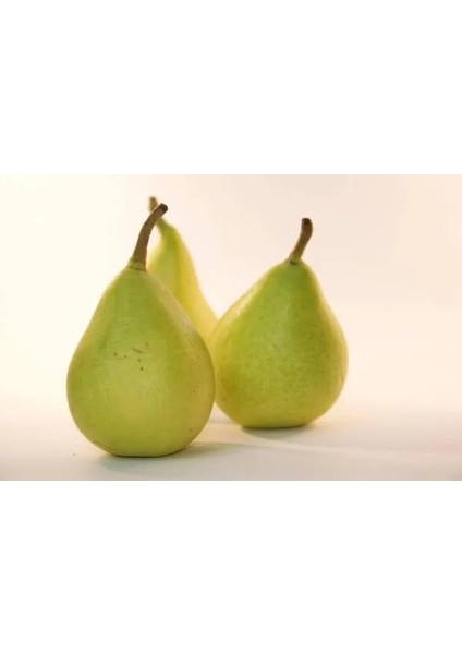 Armut Pekmezi / Keçiboynuzu Pekmezi (Organik- Ev Yapımı) 4x850 gr