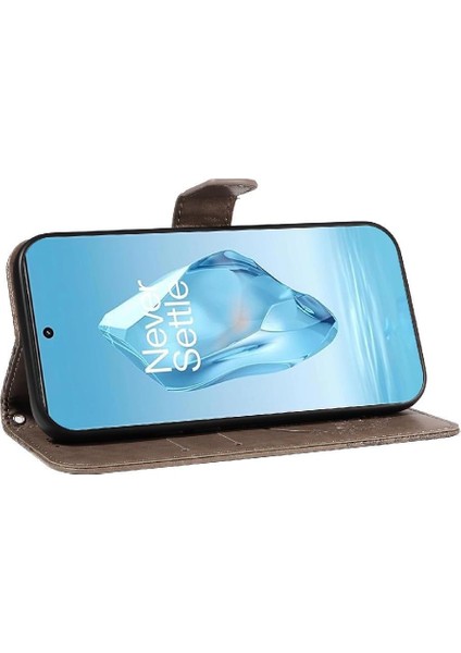 OnePlus Ace 3 5G Telefon Kılıfı (Yurt Dışından) fırsatları