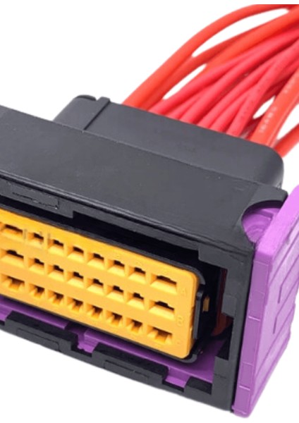 (Delphi) Lpg Beyin Soketi 24 Pin