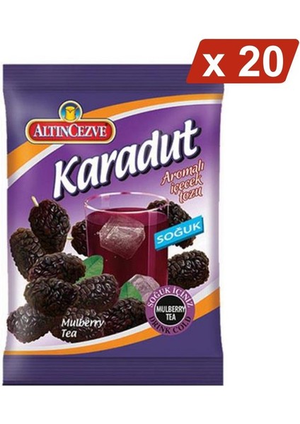 Karadut Toz Içecek Soğuk - 450 gr - 20Lİ Paket
