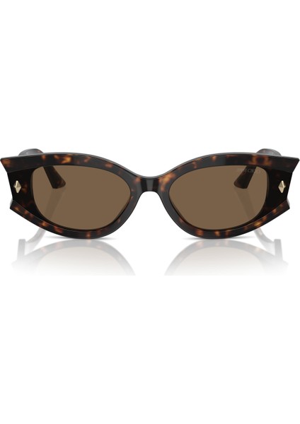 Jımmy Choo 5015U 500273 62-17 Kadın Güneş Gözlüğü fiyatları