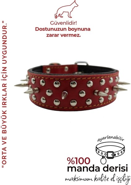 Dikenli Deri Köpek Boyun Tasması Özel Tasarım
