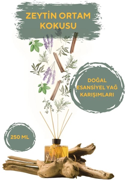 Zeytin Ortam Kokusu - 250 ml