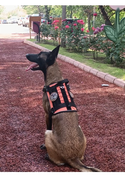 Tactical Göğüs Tasması Taktik Tasma Turuncu