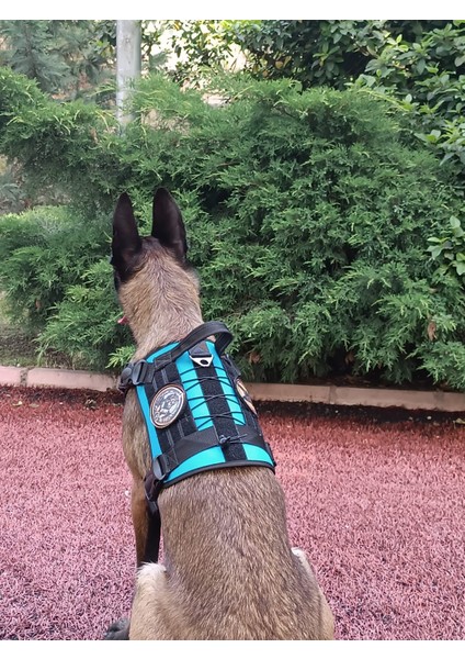 Tactical Göğüs Tasması Taktik Tasma Turkuaz fiyatları