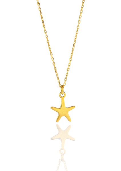 Deniz Yıldızı Gold Parlak Tasarım Unisex 925 Ayar Gümüş Kolye fiyatları