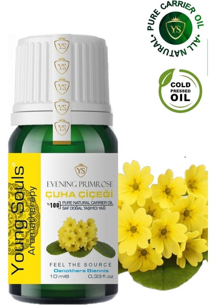 Aromatherapy Primrose Carrier Oil Çuha Çiçeği Taşıyıcı Yağ 10 ml
