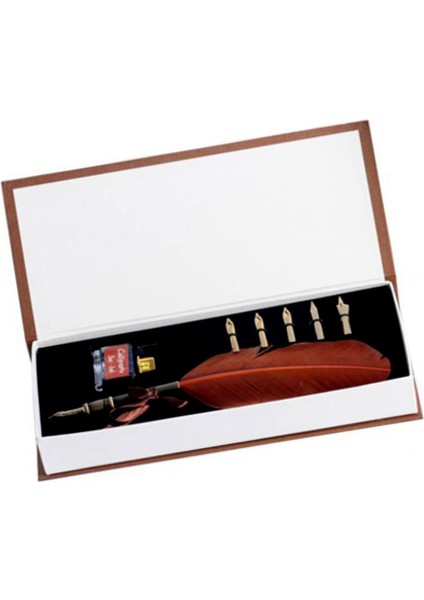 Steel Pen Kuş Tüyü Divit Kalem Seti Kaligrafi Kalemi modelleri