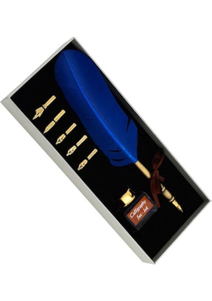 Steel Pen Kuş Tüyü Divit Kalem Seti Kaligrafi Kalemi fırsatları