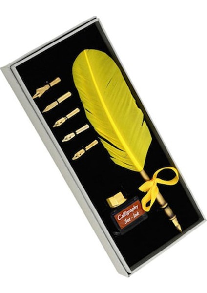 Steel Pen Kuş Tüyü Divit Kalem Seti Kaligrafi Kalemi indirimleri