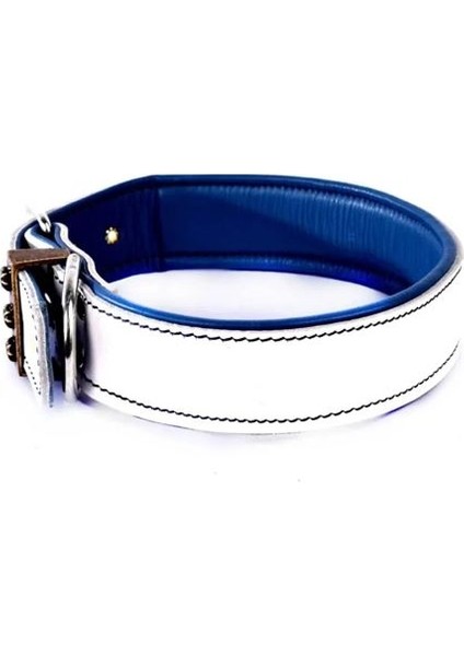 Beyaz Köpek Boyun Tasması Hakiki Deri fiyatları