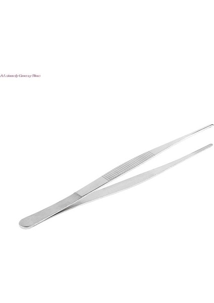 25CM Tarzı Paslanmaz Çelik Cerrahi Diş Tepsisi Çevre Dostu Pratik Kullanışlı Popüler Tepsi Lab Cihaz Depolama Diş Hassaslık (Yurt Dışından)