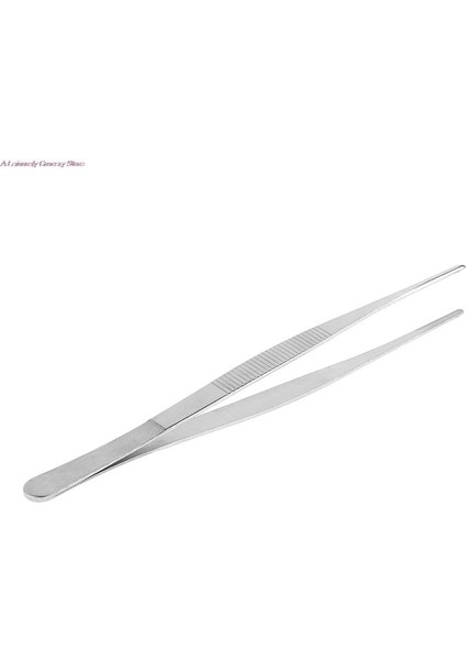 30CM Tarzı Paslanmaz Çelik Cerrahi Diş Tepsisi Çevre Dostu Pratik Kullanışlı Popüler Tepsi Lab Cihaz Depolama Diş Hassaslık (Yurt Dışından)