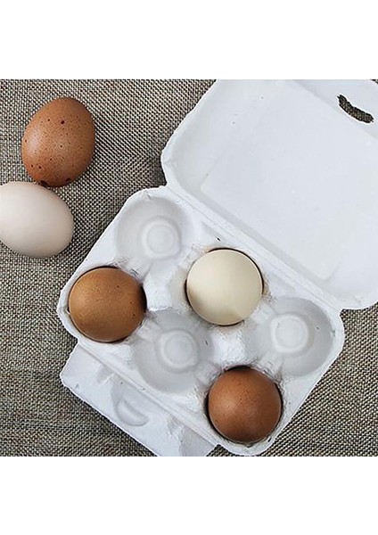 20 Adet Tarzı Kağıt Hamuru Yumurta Saklama Kapları Yumurta Tepsileri Tutucular Taşınabilir Yumurta Saklama Kutuları Yumurta Tutucular Mutfak Dekor Aksesuarları (Yurt Dışından) modelleri