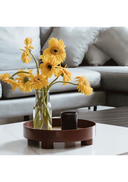 Kırmızı Stil Çay Yemek Tabakları Içecek Tabağı Yuvarlak Saklama Tepsisi Sofra Takımı Yüzük Tepsi Dekoratif Takı Masaüstü Düğün Mutfak Servis Tepsisi (Yurt Dışından) fırsatları