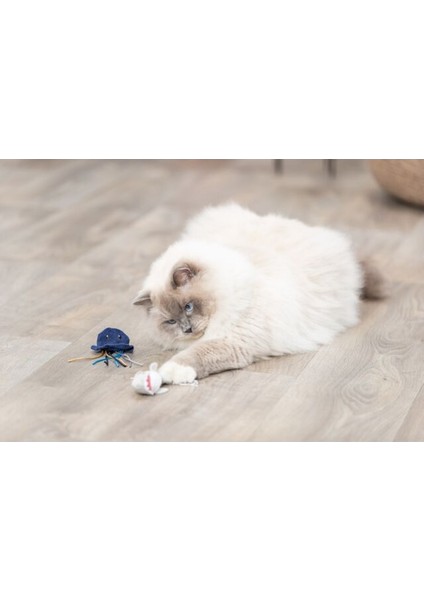 Kedi Oyuncağı, Deniz Canlıları Şeklinde, Peluş, Kediotlu 5-8cm fiyatları