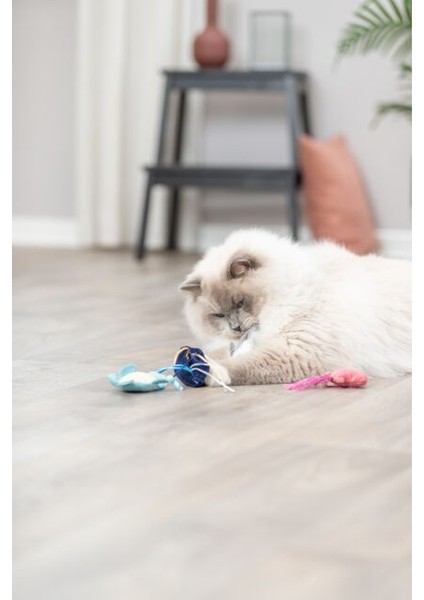 Kedi Oyuncağı, Deniz Canlıları Şeklinde, Peluş, Kediotlu 5-8cm modelleri