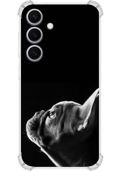 Samsung Galaxy S24 Uyumlu Köpek 1 Baskılı Şeffaf Köşe Korumalı Antişok Kılıf