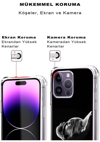Samsung Galaxy S24 Uyumlu Köpek 1 Baskılı Şeffaf Köşe Korumalı Antişok Kılıf