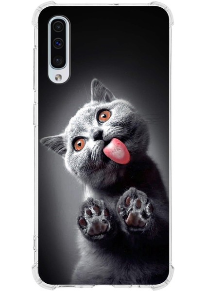 Samsung Galaxy A30S Uyumlu Kedi 2 Baskılı Şeffaf Köşe Korumalı Antişok Kılıf