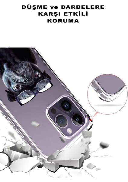 Samsung Galaxy S22 Uyumlu Köpek 3 Baskılı Şeffaf Köşe Korumalı Antişok Kılıf
