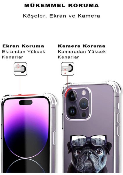 Samsung Galaxy S22 Uyumlu Köpek 3 Baskılı Şeffaf Köşe Korumalı Antişok Kılıf
