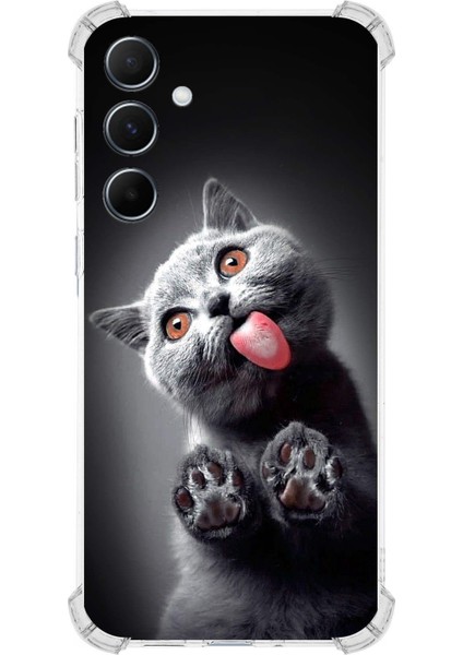 Samsung Galaxy A55 Uyumlu Kedi 2 Baskılı Şeffaf Köşe Korumalı Antişok Kılıf