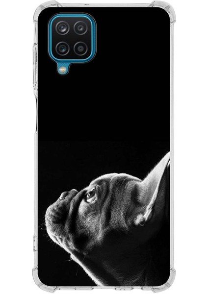 Samsung Galaxy M32 Uyumlu Köpek 1 Baskılı Şeffaf Köşe Korumalı Antişok Kılıf