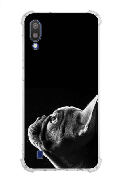 Samsung Galaxy M10 Uyumlu Köpek 1 Baskılı Şeffaf Köşe Korumalı Antişok Kılıf