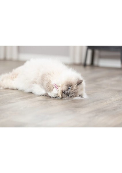 Kedi Oyuncağı, Kumaş Ayı, Kediotlu 12CM