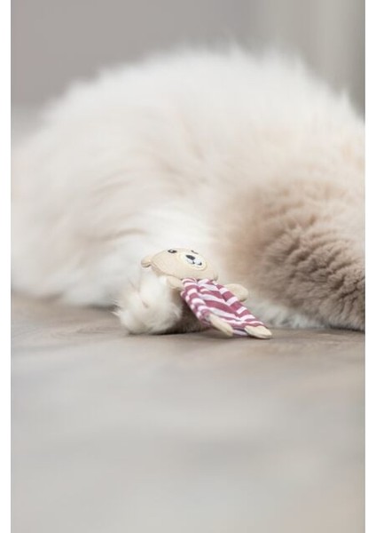 Kedi Oyuncağı, Kumaş Ayı, Kediotlu 12CM